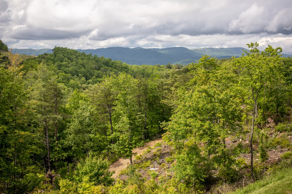 A scenic nature view with lush green trees, a winding dirt path, and distant mountains under a cloudy sky. The atmosphere is peaceful, hinting at hiking and outdoor exploration opportunities right outside the door.